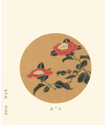 Camelia Tsubaki  de Jakuchu Ito | Reproduction Fine Art français