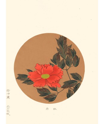 Pivoine de Jakuchu Ito | Reproduction Fine Art 50-70% off 