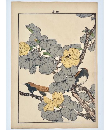 Estampe Japonaise de Keinen Imao | Oiseau et Hibiscus de Chine Comparez plus de prix