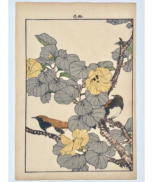 Estampe Japonaise de Keinen Imao | Oiseau et Hibiscus de Chine Comparez plus de prix