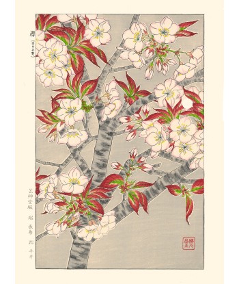 Cerisier en Fleurs de Kawarazaki Shodo | Reproduction Fine Art Livraison rapide