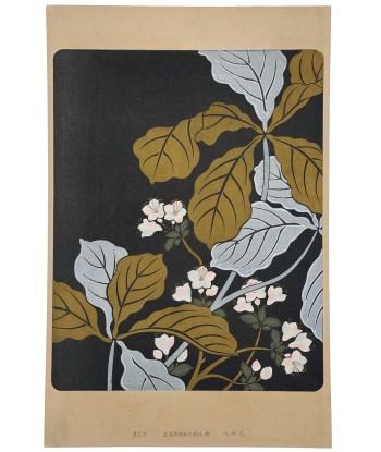 Estampe Japonaise Ecole Rinpa | Feuilles argent et or pas cher 