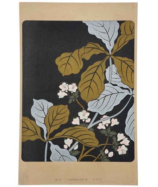 Estampe Japonaise Ecole Rinpa | Feuilles argent et or pas cher 