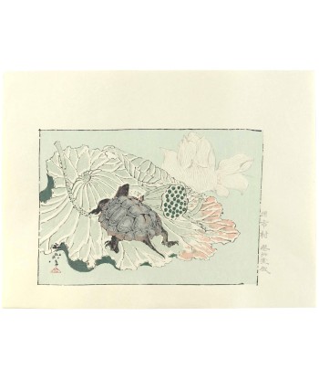 Estampe Japonaise de Kyosai | Tortue sur fleur de lotus la colonne vertébrale