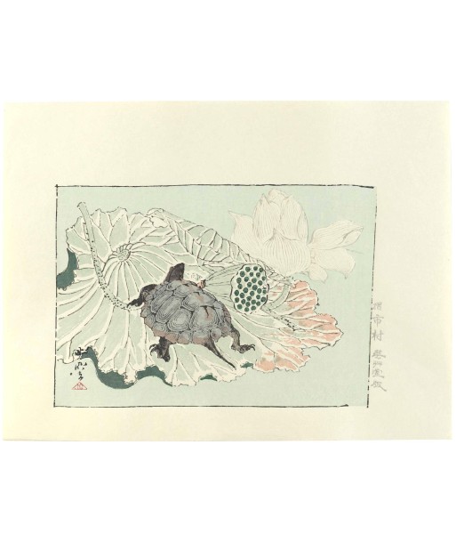 Estampe Japonaise de Kyosai | Tortue sur fleur de lotus la colonne vertébrale