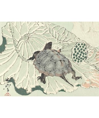 Estampe Japonaise de Kyosai | Tortue sur fleur de lotus la colonne vertébrale