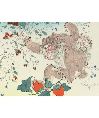 Estampe Japonaise de Kyosai | Singes et kaki ouvre sa boutique