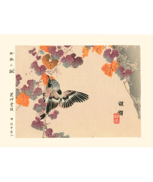 Oiseau à l'automne de Kono Bairei | Reproduction Fine Art chez Cornerstreet bien 