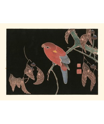 Perroquet rouge sur une branche de chêne de Jakuchu Ito | Reproduction Fine Art en stock