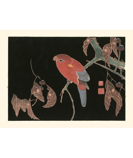 Perroquet rouge sur une branche de chêne de Jakuchu Ito | Reproduction Fine Art en stock