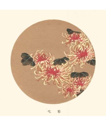 Chrysanthèmes Rouge et Blanc de Jakuchu Ito | Reproduction Fine Art français