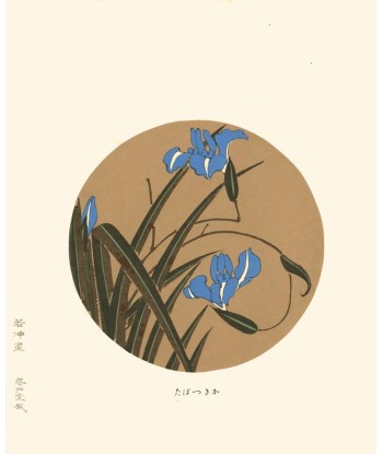 Iris bleu de Jakuchu Ito | Reproduction Fine Art Pour