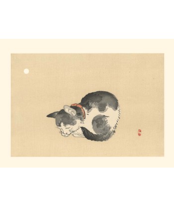 Chat endormi de Kono Bairei | Reproduction Fine Art commande en ligne