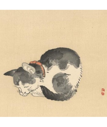 Chat endormi de Kono Bairei | Reproduction Fine Art commande en ligne