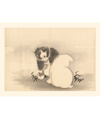 Chiots de Matsuda Kajo, Deux chiots | Reproduction Fine Art Amélioration de cerveau avec