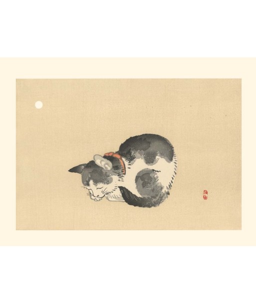 Chat endormi de Kono Bairei | Reproduction Fine Art Pour