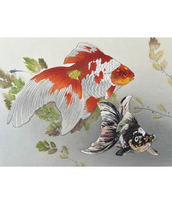 Estampe Japonaise de Tsuchiya Rakusan | Goldfish - Poissons Rouges 2023