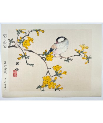 Estampe Japonaise de Kono Bairei | Oiseau et Fleurs jaunes 50% de réduction en Octobre 2024