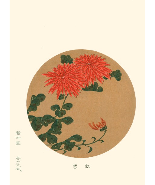 Chrysanthèmes Rouges de Jakuchu Ito | Reproduction Fine Art de pas cher