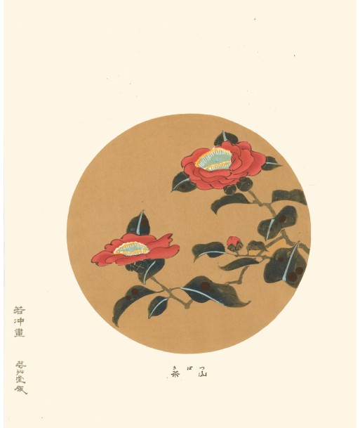 Camelia Tsubaki  de Jakuchu Ito | Reproduction Fine Art offre 