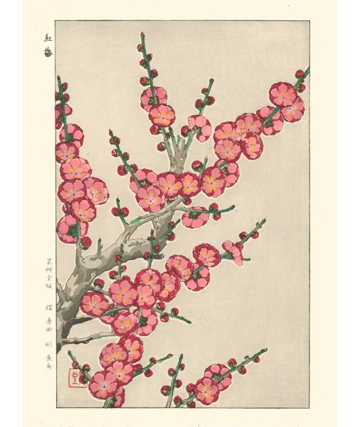 Fleurs de Prunier de Kawarazaki Shodo | Reproduction Fine Art votre restaurant rapide dans 