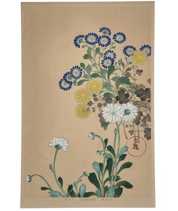 Estampe Japonaise | Chrysanthèmes et asters bleus Pour