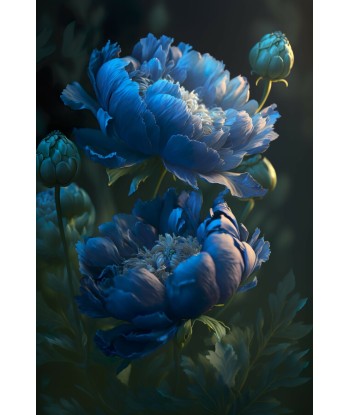 Tableau Pivoine Bleu Le MVP de beaucoup