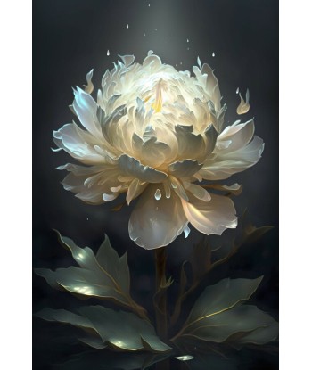 Tableau Pivoine Blanche JUSQU'A -70%! 