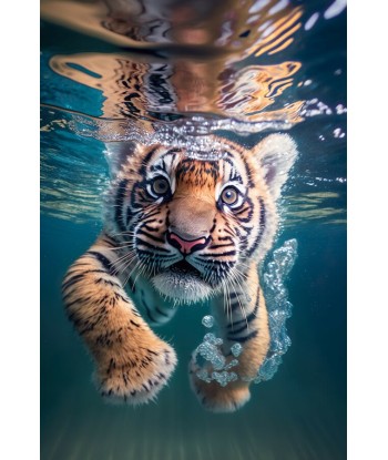 Tableau Tigre sous l'eau à prix réduit toute l'année