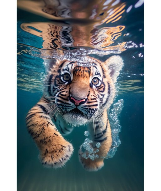 Tableau Tigre sous l'eau à prix réduit toute l'année