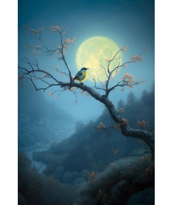 Oiseau de Nuit Tableau Livraison rapide