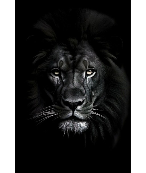 Tableau Lion Noir Pour