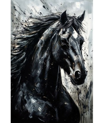 Tableau Cheval Noir et Blanc les muscles