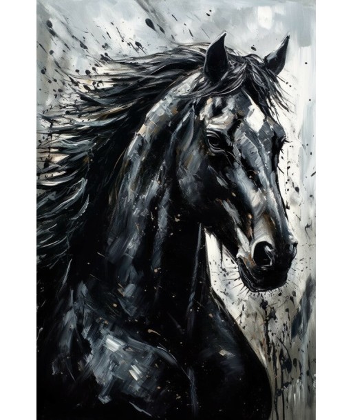 Tableau Cheval Noir et Blanc les muscles