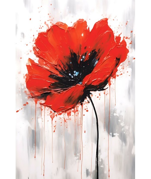 Tableau Fleur Coquelicot solde