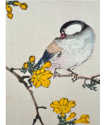 Estampe Japonaise de Kono Bairei | Oiseau et Fleurs jaunes 50-70% off 