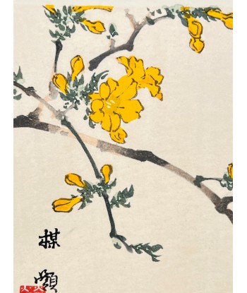 Estampe Japonaise de Kono Bairei | Oiseau et Fleurs jaunes 50-70% off 