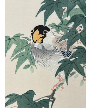 Estampe Japonaise de Kono Bairei | Oiseau sur une Branche d'Erable pas chere