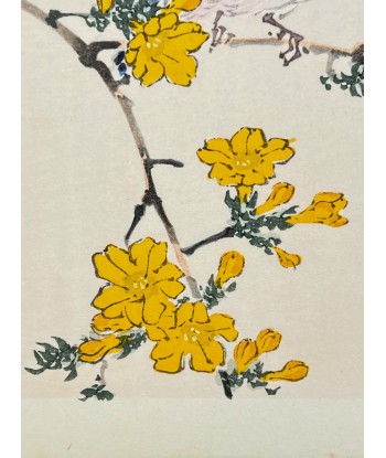 Estampe Japonaise de Kono Bairei | Oiseau et Fleurs jaunes 50-70% off 