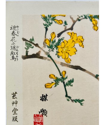 Estampe Japonaise de Kono Bairei | Oiseau et Fleurs jaunes 50-70% off 