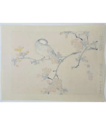 Estampe Japonaise de Kono Bairei | Oiseau et Fleurs jaunes 50-70% off 